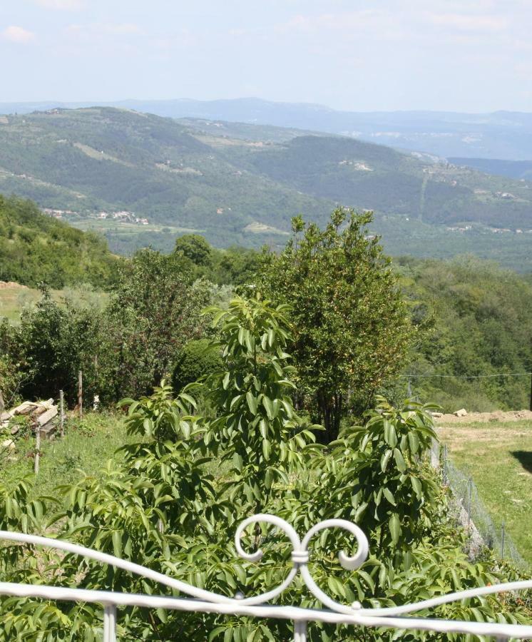 Terra Mirna Villa Vizinada ภายนอก รูปภาพ